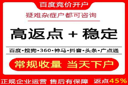 谷歌SEM广告投放策略解析：一家旅游公司的成功案例